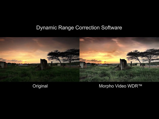 https://www.morphoinc.com/zwj675qzb/wp-content/uploads/2020/10/Dynamic-Range-Correction「Morpho-Video-WDR_640_480.png